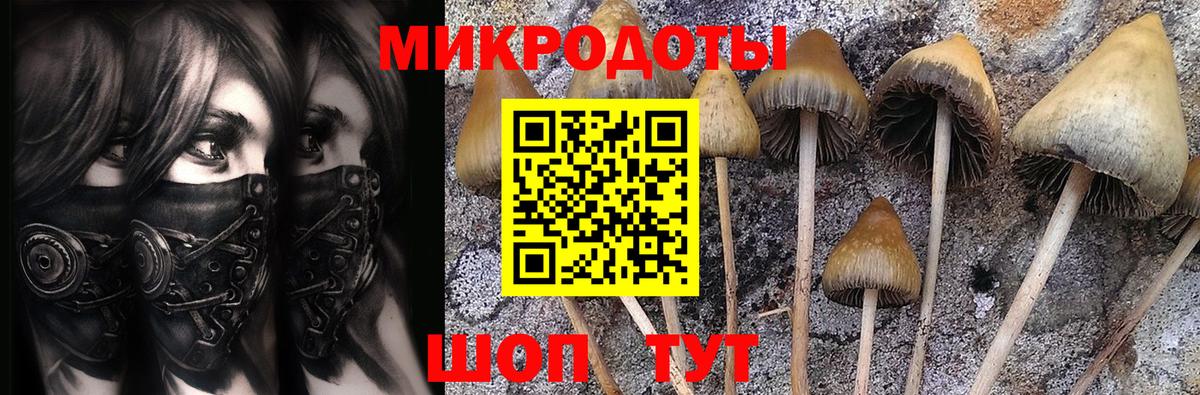 Псилоцибиновые грибы Cubensis  Вход с VPN  магазин продажи наркотиков  Химки 